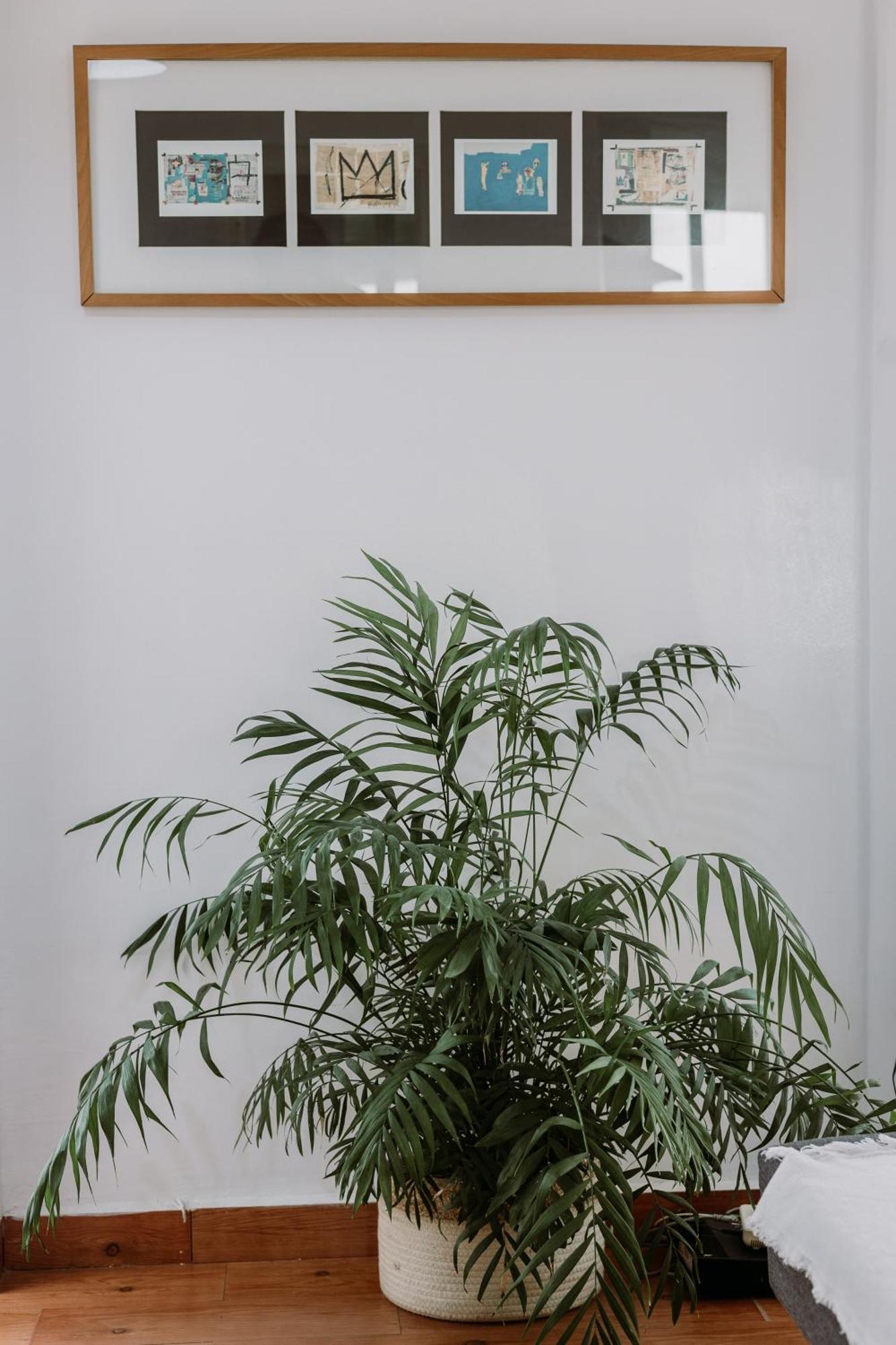 Spacious Central Apartment Sevilla Exterior foto